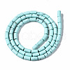 Synthetic Turquoise Beads Strands G-S366-076B-2