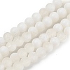 Frosted Crackle Glass Beads Strands X1-GLAA-U001-8mm-M07-1