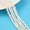 Natural Cultured Freshwater Pearl Beads Strands PEAR-P064-20G-01A-1