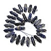 Natural Sodalite Double Terminated Point Beads Strands G-H069-B18-01-3