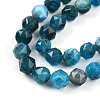 Natural Apatite Beads Strands G-N327-03A-02-01-4