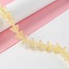 Transparent Glass Beads Strand GLAA-K002-02G-2