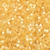 Glass Bugle Beads X1-SEED-B001-03A-03-3