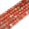 Dyed Natural Regalite/Imperial Jasper/Sea Sediment Jasper Beads Strands G-B124-C05-03-1