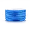 Polyester Braided Cords OCOR-I006-A01-20-1