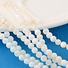 Natural Shell Beads Strands PRS001Y-1