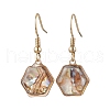 Natural Paua Shell Dangle Earrings EJEW-JE06274-3
