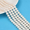 Natural Cultured Freshwater Pearl Beads Strands PEAR-I007-07J-01A-1