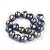 Natural Cultured Freshwater Pearl Beads Strands PEAR-N014-10E-01-2