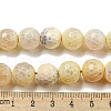 Faceted Natural Fire Crackle Agate Beads Strands G-F447-12mm-H02-5