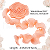 Chiffon Organza Pleated Lace Trim DIY-WH0892-01B-2