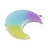 Gradient Color Translucent Resin Pendants FIND-Z006-03A-2