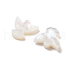 Natural Shell Beads BSHE-H017-02-2