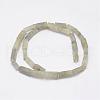 Natural Labradorite Beads Strands G-E342-13-2