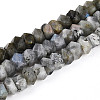 Natural Labradorite Beads Strands G-N347-09A-11-2