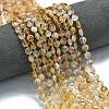 Natural Citrine Beads Strands G-K389-B70-01-1