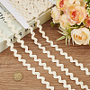 ANATTASOUL 10 Yards Cotton Wave Bending Lace Trim OCOR-AN0001-06-7