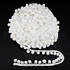 Pom Pom Ball Nylon Trim Ribbon OCOR-WH0078-207-1