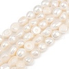 Natural Cultured Freshwater Pearl Beads Strands PEAR-P064-20K-01A-01-2