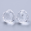 Transparent Acrylic Pendants TACR-Q261-C-V01-3