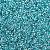 Baking Paint Silver Lined Glass Seed Beads SEED-H003-09H-2