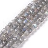 Natural Labradorite Beads Strands G-D0003-B10-1