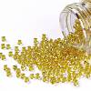 TOHO Round Seed Beads SEED-XTR11-2151S-2