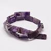 Natural Amethyst Beads Strands G-K153-M05-2