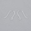 Resin Earring Hooks X-RESI-J021-10B-2