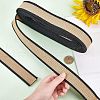 Polyester Braid Ribbon OCOR-WH0068-31B-2