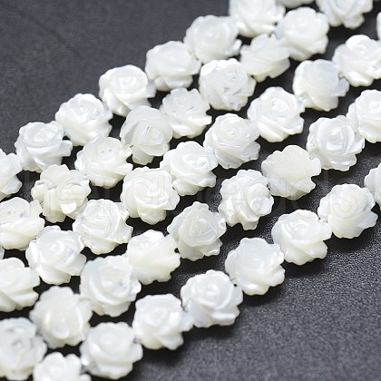 Natural White Shell Beads Strands SSHEL-P015-01A-6mm-1