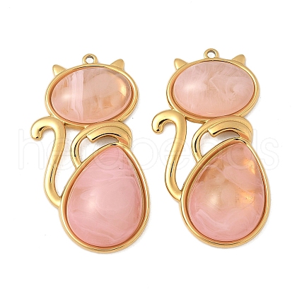 304 Stainless Steel Resin Pendants STAS-V015-59G-01-1