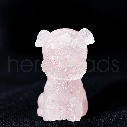 Resin Craft Display Decorations DJEW-PW0021-33A-1