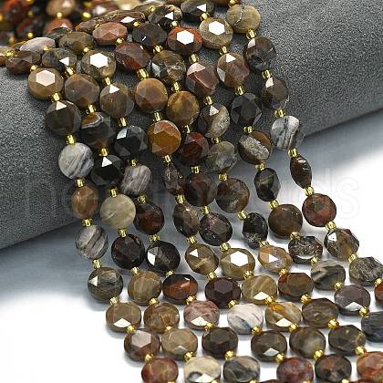Natural Petrified Wood Beads Strands G-C116-A135-01-1