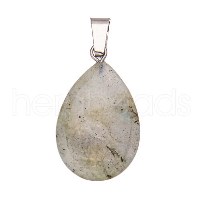 Natural Labradorite Pendants PW-WGF34F4-11-1
