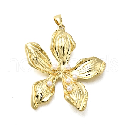 Brass Pendants KK-V002-27G-1