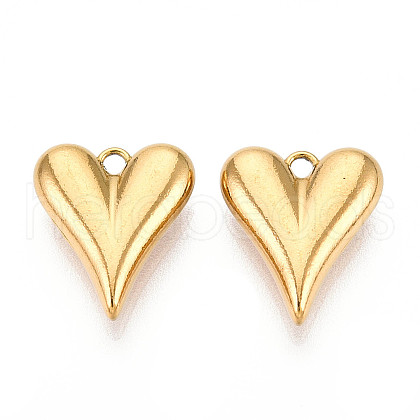 304 Stainless Steel Charms STAS-T065-81G-1