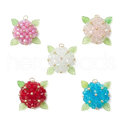 Glass Pendants PALLOY-MZ00711-1