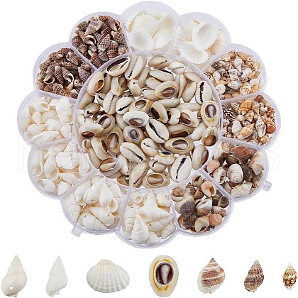 SUPERFINDINGS 7 Styles Natural Shell Beads Sets BSHE-FH0001-02-1