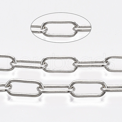 Unwelded Iron Paperclip Chains CH-S125-09A-P-1