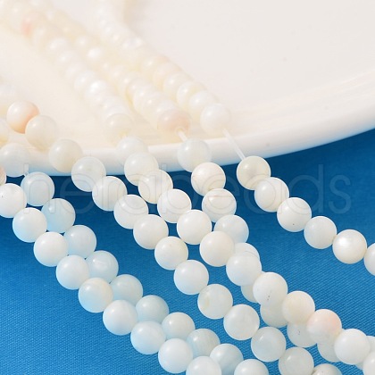 Natural Shell Beads Strands PRS001Y-1