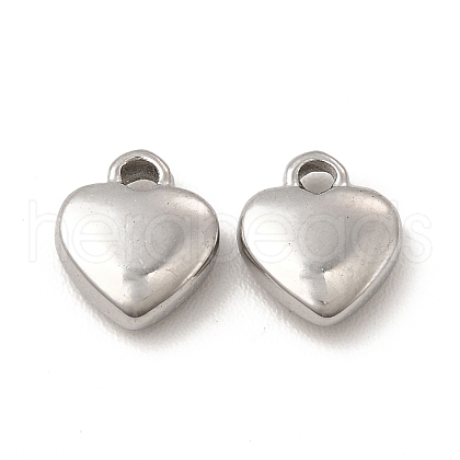 Non-Tarnish 304 Stainless Steel Charms STAS-A070-36P-1