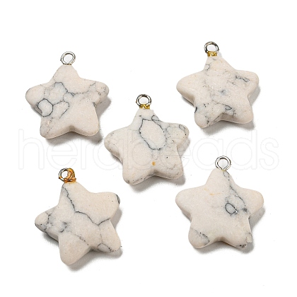 Synthetic Turquoise Pendants G-G075-13A-1