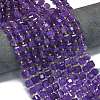 Natural Amethyst Beads Strands G-K389-A16-01-2