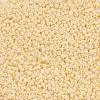 Glass Seed Beads SEED-XCP0001-01-2
