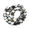 Natural Black Lip Shell Beads Strands BSHE-D300-05-10mm-2