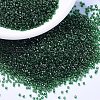 MIYUKI Delica Beads SEED-J020-DB1894-4