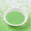 MIYUKI Round Rocailles Beads SEED-X0054-RR0228-2