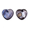 Natural Freshwater Shell Charms SHEL-R113-17B-2