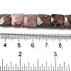 Natural Rhodonite Beads Strands G-C109-A03-02-5